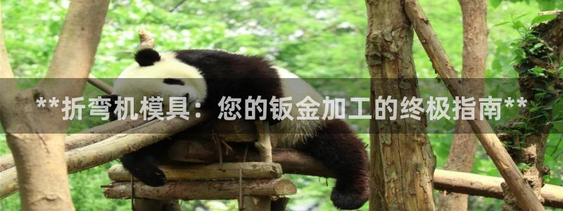 古天乐代言太阳网址ty：**折弯机模具：您的钣金加工的终极指南**