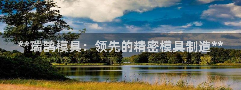 2138cn太阳集团古天乐·首页(欢迎您)：**瑞鹄模具：领先的精密模具制造**