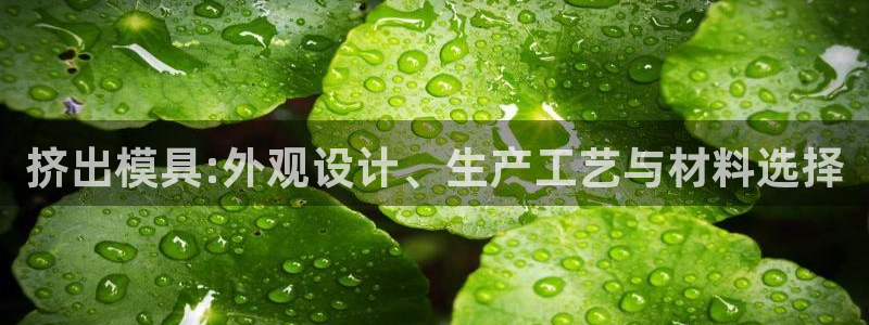 太阳集团app十佳平台是什么：挤出模具:外观设计、生产工艺与材料选择