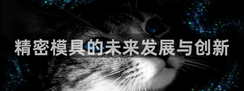 太阳集团城所有网址是多少：精密模具的未来发展与创新