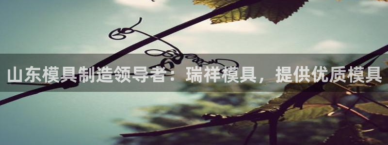 太阳诚集团视频：山东模具制造领导者：瑞祥模具，提供优质模具