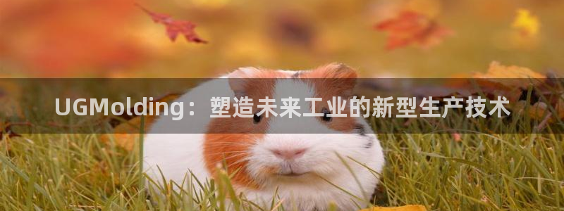太阳成集团是什么：UGMolding：塑造未来工业的新型生产技术
