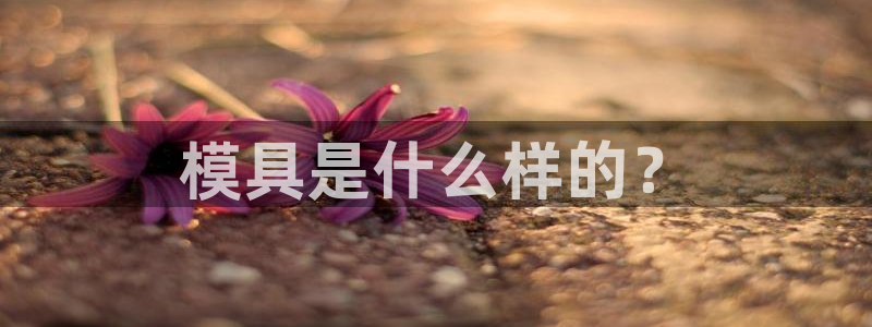 太阳集团城网址娱网 - 太阳集团电子游戏：模具是什么样的？