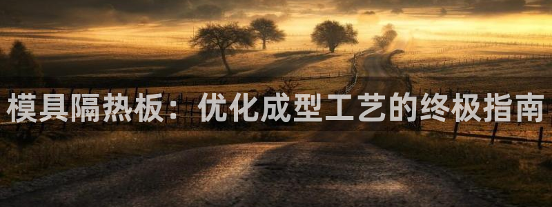 太阳gg平台：模具隔热板：优化成型工艺的终极指南