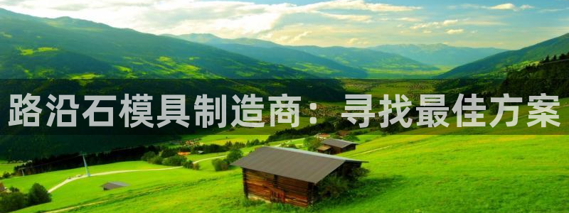 太阳集团城2017：路沿石模具制造商：寻找最佳方案