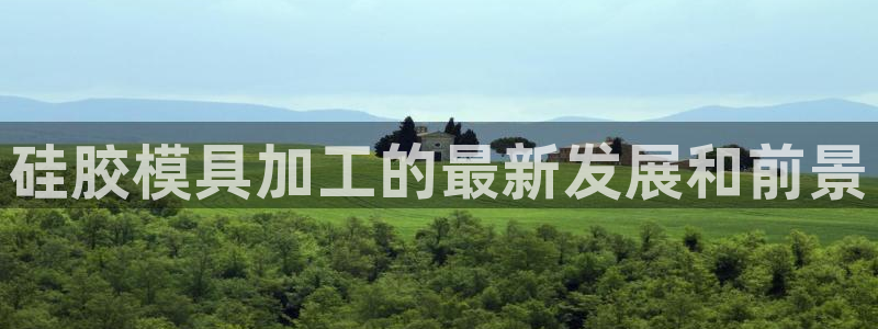 太阳成集团老板是谁：硅胶模具加工的最新发展和前景