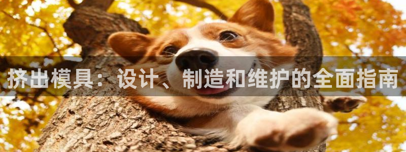 太阳成集团网址：挤出模具：设计、制造和维护的全面指南