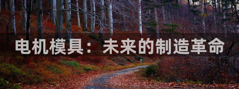 太阳集团电子游戏官网小额充值：电机模具：未来的制造革命