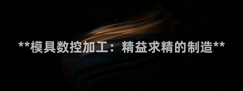 高淳红太阳集团：**模具数控加工：精益求精的制造**