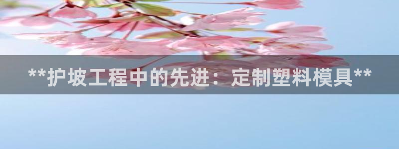 太阳集团是什么：**护坡工程中的先进：定制塑料模具**