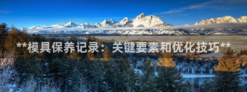 太阳gg在线测速登录：**模具保养记录：关键要素和优化技巧**