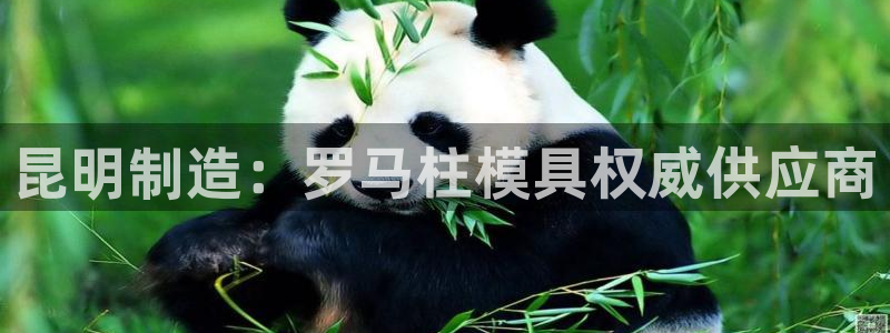 太阳成集团tyc3345：昆明制造：罗马柱模具权威供应商