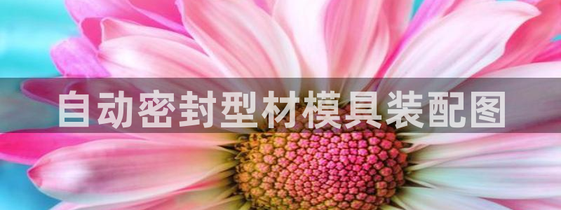 太阳成集团视频：自动密封型材模具装配图