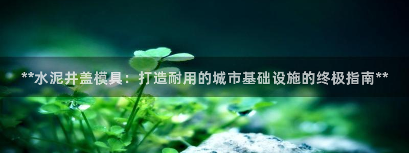 太阳成集团lougo图片：**水泥井盖模具：打造耐用的城市基础设施的终极指南**