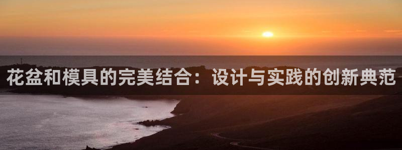 太阳成集团tyc33455cc：花盆和模具的完美结合：设计与实践的创新典范