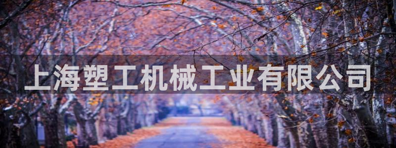 太阳集团电子游戏不朽的浪漫视频：上海塑工机械工业有限公司