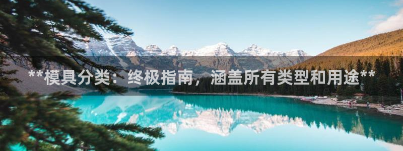 太阳集团董事长是谁：**模具分类：终极指南，涵盖所有类型和用途**
