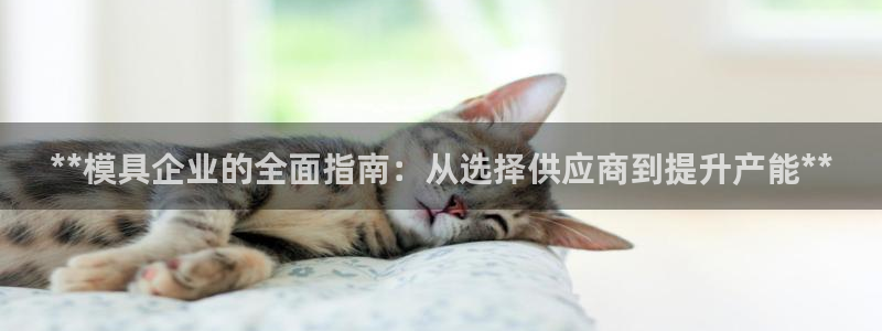 古天乐代言太阳网址：**模具企业的全面指南：从选择供应商到提升产能**