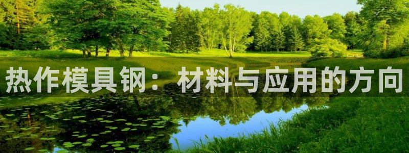 太阳成集团是干嘛的：热作模具钢：材料与应用的方向