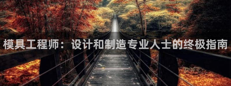 太阳诚集团有限公司：模具工程师：设计和制造专业人士的终极指南