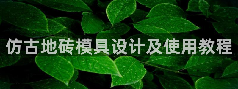太阳成集团tyc234cc集团产业：仿古地砖模具设计及使用教程