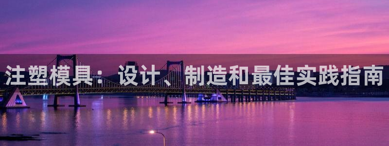 太阳1城集团网址是多少：注塑模具：设计、制造和最佳实践指南