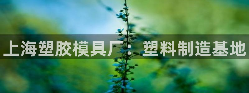 太阳集团城网站：上海塑胶模具厂：塑料制造基地