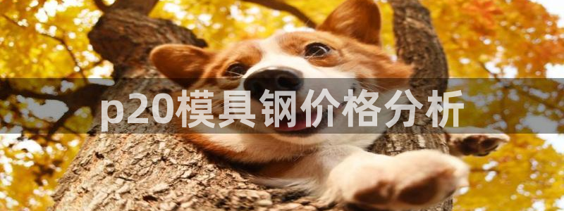 太阳集团城：p20模具钢价格分析