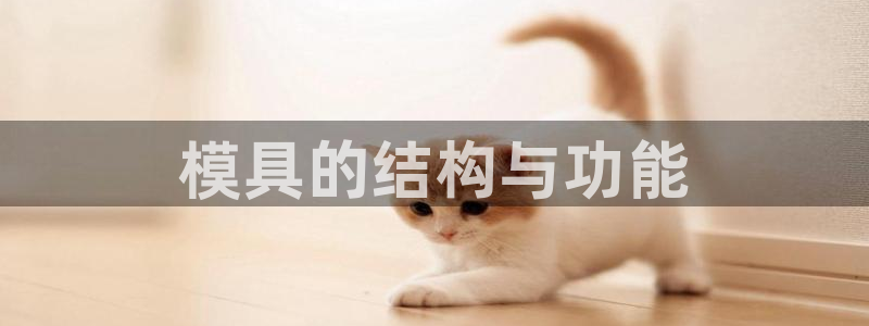 太阳集团在线：模具的结构与功能