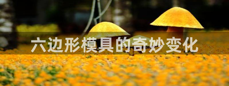 太阳集团网站入口官网下载：六边形模具的奇妙变化