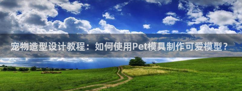 太阳集团2007：宠物造型设计教程：如何使用Pet模具制作可爱模型？