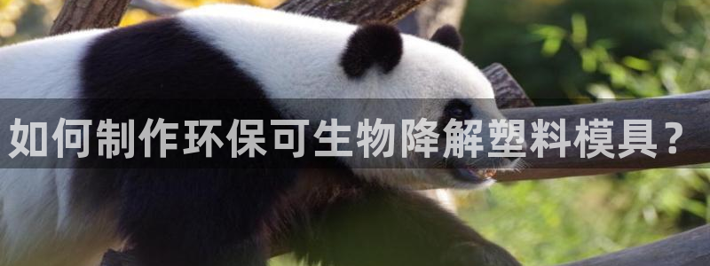 太阳集团娱乐官方网站：如何制作环保可生物降解塑料模具？