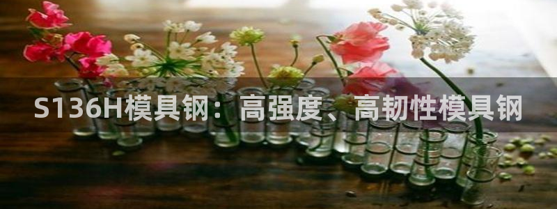 太阳成集团tyc234cc[主页]网址：S136H模具钢：高强度、高韧性模具钢