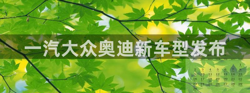 太阳阳城集团：一汽大众奥迪新车型发布