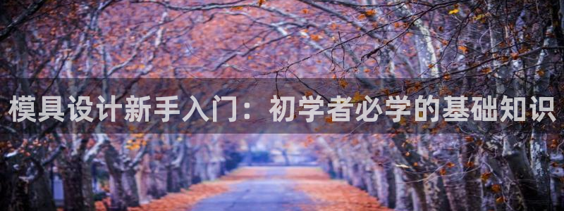 冷太阳演员表：模具设计新手入门：初学者必学的基础知识