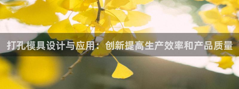 太阳集团不能提现怎么办：打孔模具设计与应用：创新提高生产效率和产品质量