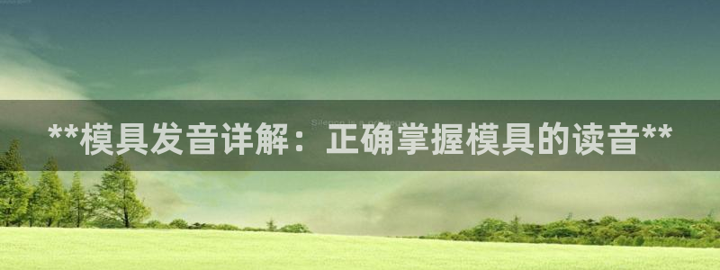太阳集团电子游戏登录：**模具发音详解：正确掌握模具的读音**
