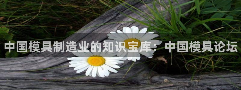 太阳集团城网站：中国模具制造业的知识宝库：中国模具论坛