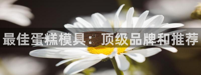 太阳集团董事长是谁照片：最佳蛋糕模具：顶级品牌和推荐