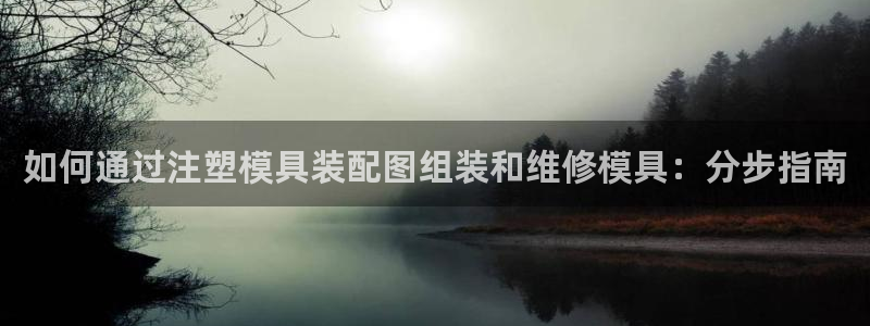 太阳集团游戏官方8722：如何通过注塑模具装配图组装和维修模具：分步指南