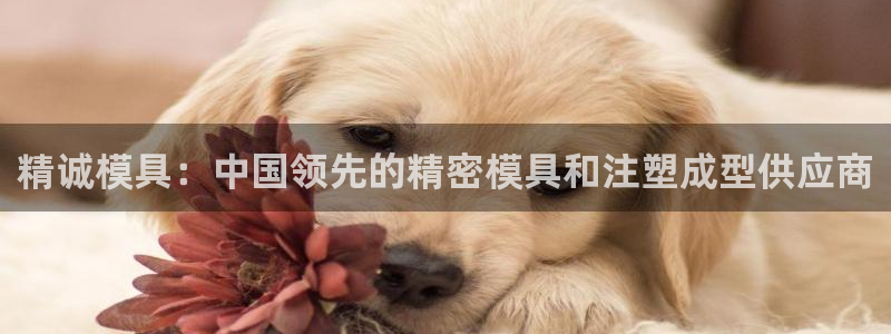 太阳集团电子游戏官网小额充值：精诚模具：中国领先的精密模具和注塑成型供应商