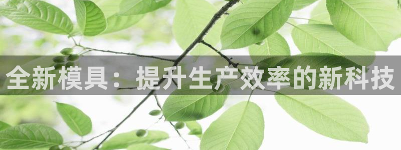 太阳成集团tyc7111cc下载手机版：全新模具：提升生产效率的新科技