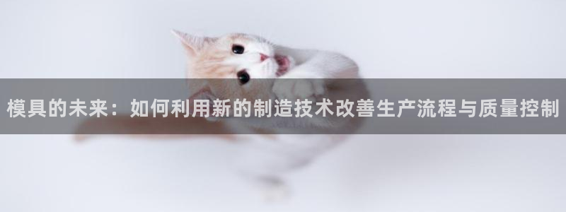 太阳成集团tyc234cc：模具的未来：如何利用新的制造技术改善生产流程与质量控制