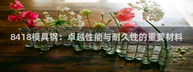 太阳诚集团是干什么的：8418模具钢：卓越性能与耐久性的重要材料
