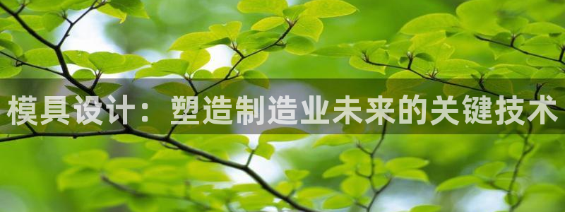 太阳集团公司董事长