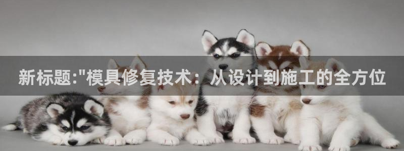 太阳诚集团有限公司