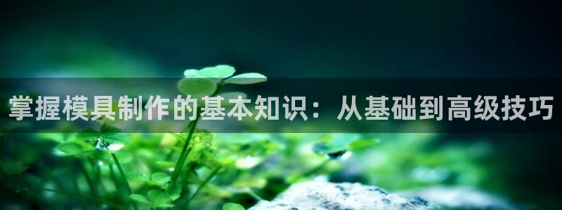 太阳集团城官网：掌握模具制作的基本知识：从基础到高级技巧