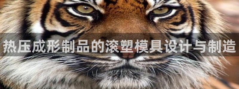 太阳成下载：热压成形制品的滚塑模具设计与制造