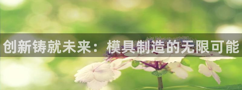 太阳集团股份有限公司是国企吗：创新铸就未来：模具制造的无限可能