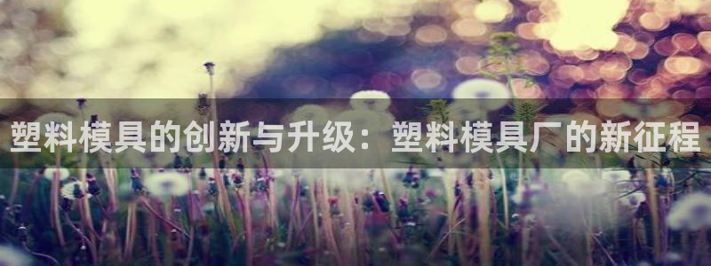 澳门太阳游戏城：塑料模具的创新与升级：塑料模具厂的新征程